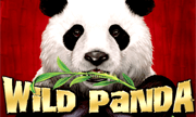 wild-panda Logo