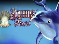 dolphins-pearl Logo