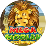 Online Casino Mega Moolah Online Casino Mega Moolah