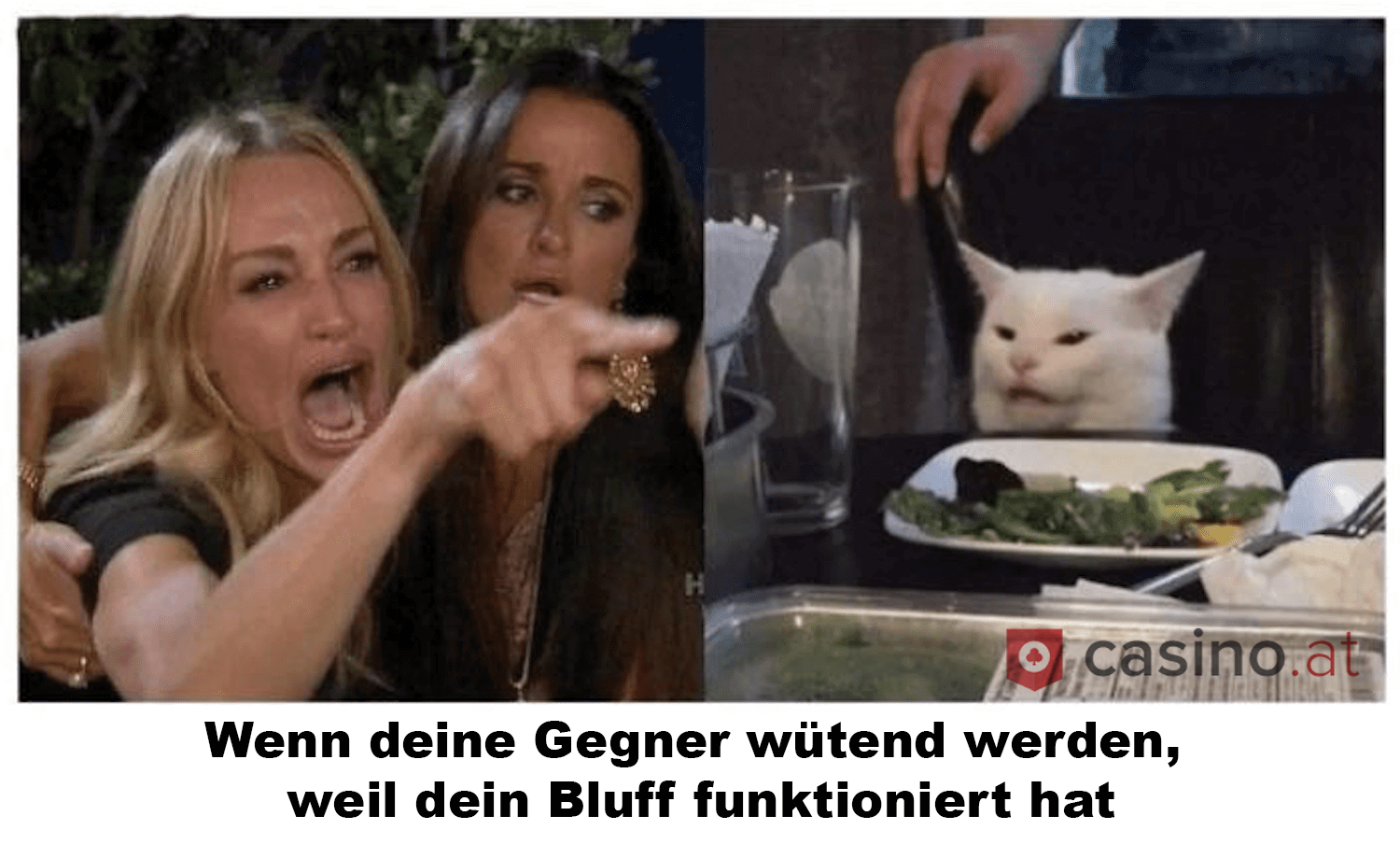 Wenn dein Bluff im Poker funktioniert – Katzen Meme