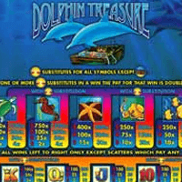 So funktioniert Dolphin Treasure