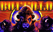 buffalo Logo
