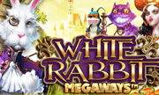 white-rabbit Logo