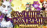 White Rabbit