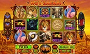 Hot Safari - Spielautomaten