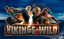 Vikings Go Wild
