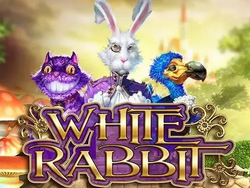 White Rabbit