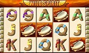 Wild Spirit - Spielautomaten