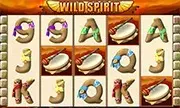 Wild Spirit - Spielautomaten