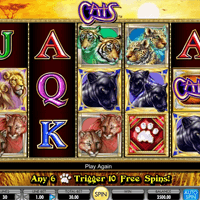 Die besten Online Casinos mit IGT Slots