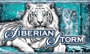 siberian-storm Logo