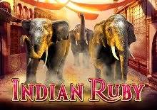 Indian Ruby Logo