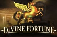 divine-fortune Logo