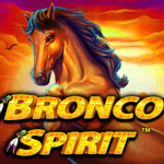 Bronco Spirit Logo