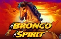 bronco-spirit Logo