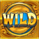 Wild-Symbol