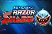 razor-shark Logo